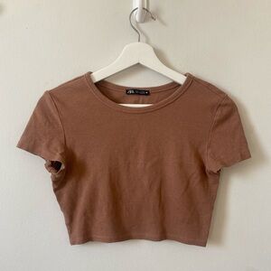 Zara Brown Crop Tee